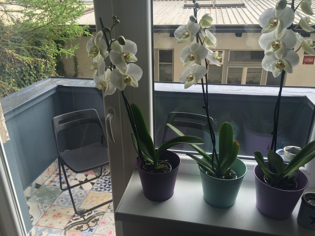 Dragon Bridge Beauty Apartment リュブリャナ エクステリア 写真